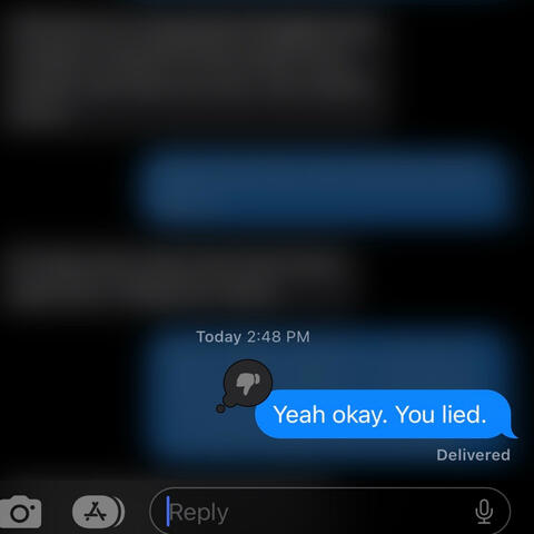 The Lies