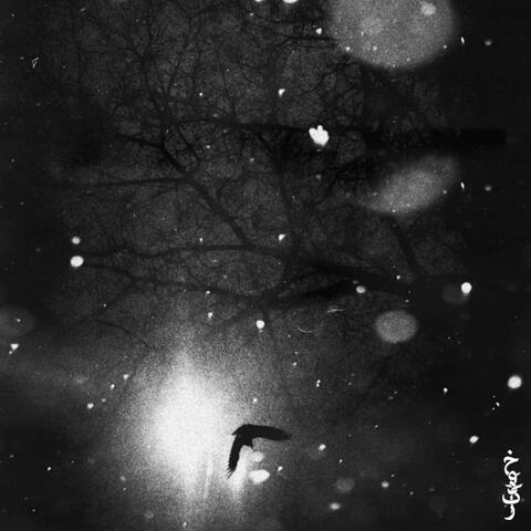 The Metamorphosis