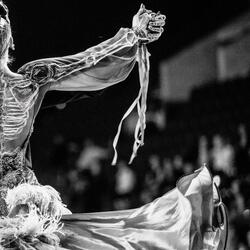 Les étoiles dansent