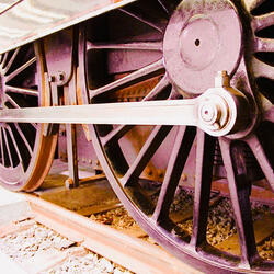 LazyTrain