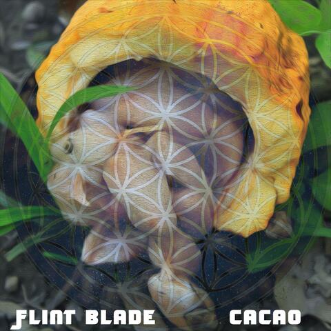 Cacao