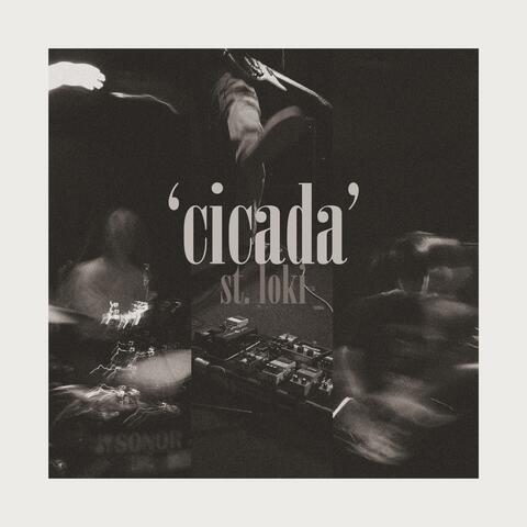 Cicada