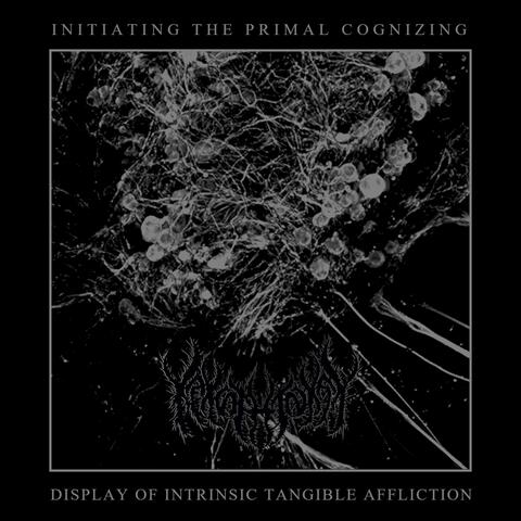 Initiating the Primal Cognizing Display of Intrinsic Tangible Affliction