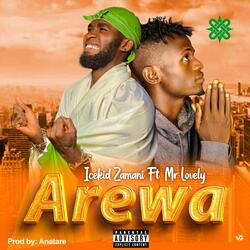 Arewa (feat. Mr Lovely)