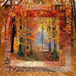 Abscission