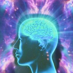 Increase Intelligence