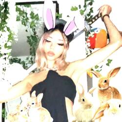 bunny party <3