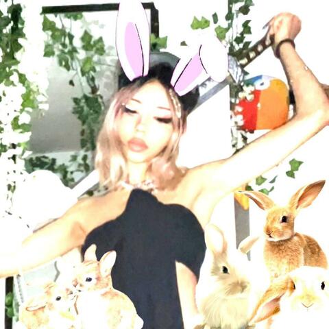 bunny party <3
