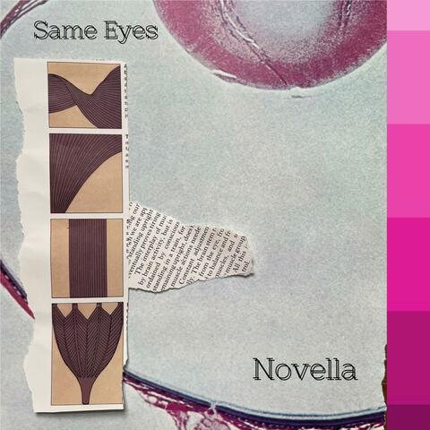 Novella