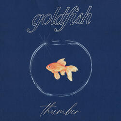 Goldfish