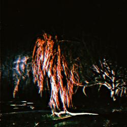Weeping Willow (feat. mesq, DNFJAY & SKOTSKR)