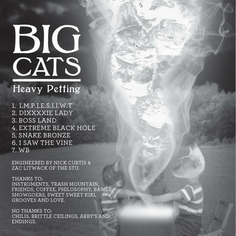 Big Cats