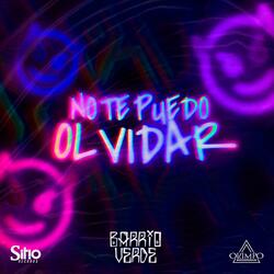 No Te Puedo Olvidar