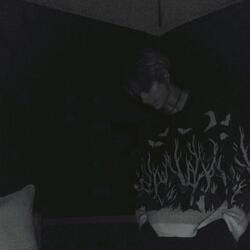 Now What Have I Done?