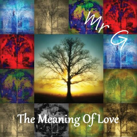 The Meaning of Love (feat. Mr. G)
