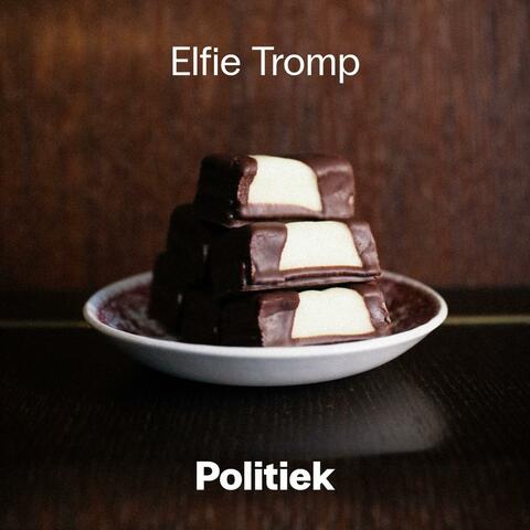 Politiek