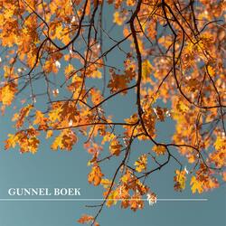 Autumn Sky