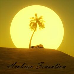 Sunshine (feat. Bawa Sushil)