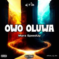 Owo Oluwa Mara Speedup