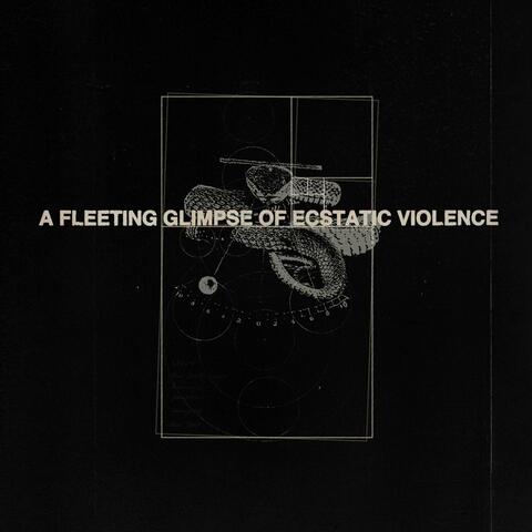 A Fleeting Glimpse of Ecstatic Violence