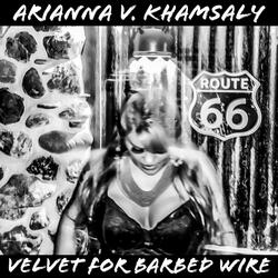 Velvet for Barbed Wire