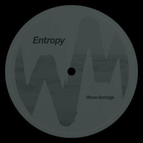 Entropy