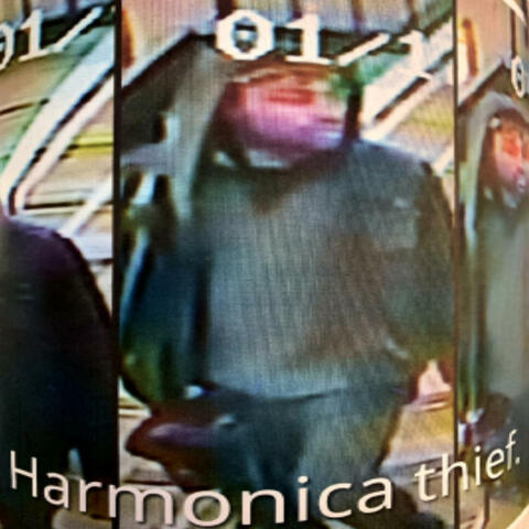 Harmonica Thief
