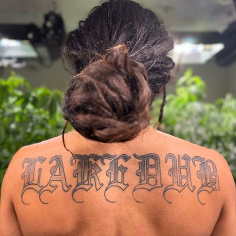 LakeDub