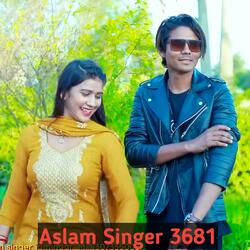 Aslam Singer 3681
