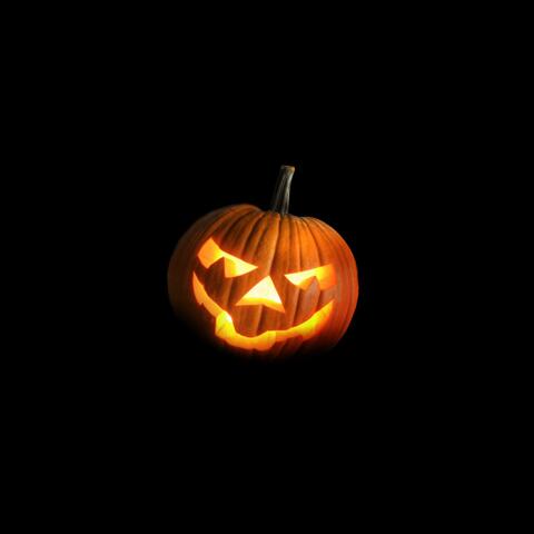 Spooked Out