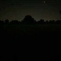 i am i am i am/children