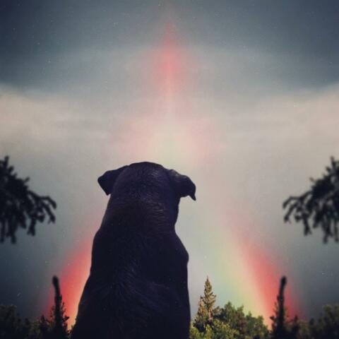 Nipple Clampz IV (Respect the Clampz)