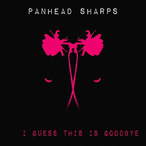I Guess This Is Goodbye