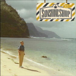 The Sunshine Shop (feat. Jahndi Anres)