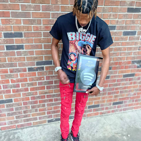 NewWolFMoney