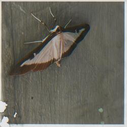 It's 4am, you're not here, and the trains outside are making it hard to sleep.