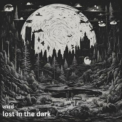 Lost in the Dark