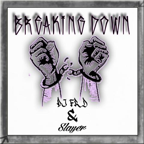 Breaking Down (feat. DJ FRD)