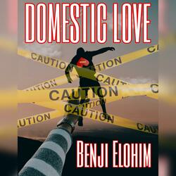 Domestic Love
