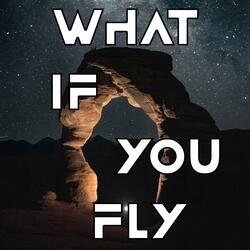 What If You Fly