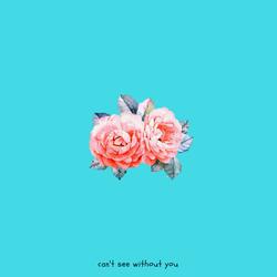 Can't See Without You (feat. Aspen Dawn)