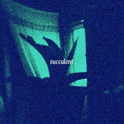 Succulent