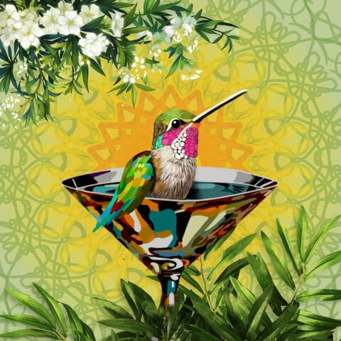 Hummingbird Happy Hour