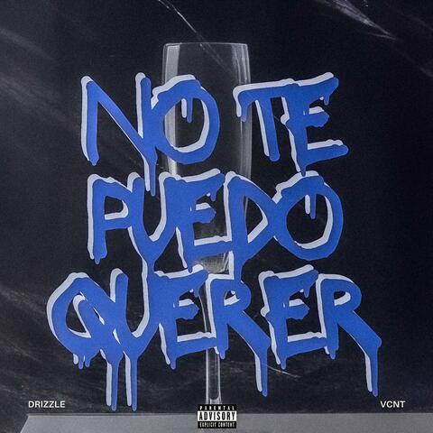 No Te Puedo Querer (feat. VCNT)