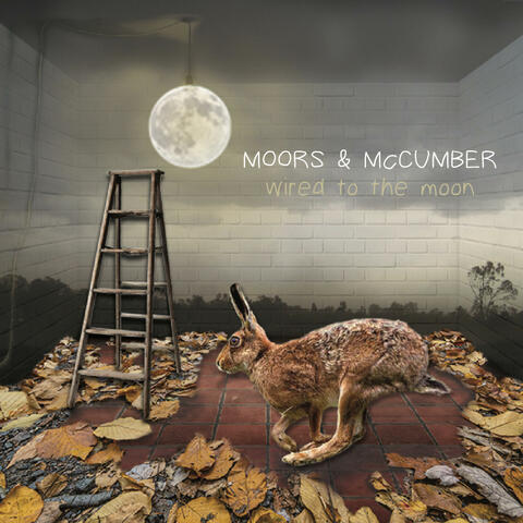 Wired To The Moon
