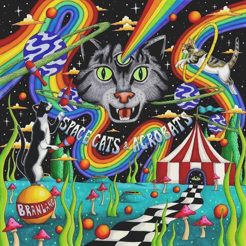 Space Cats & Acrobats