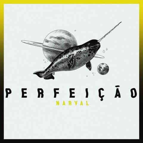 Perfeição