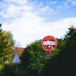 Sweet Bass, Bitter Nostalgia