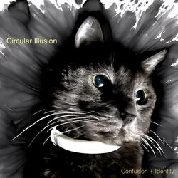 Confusion + Identity