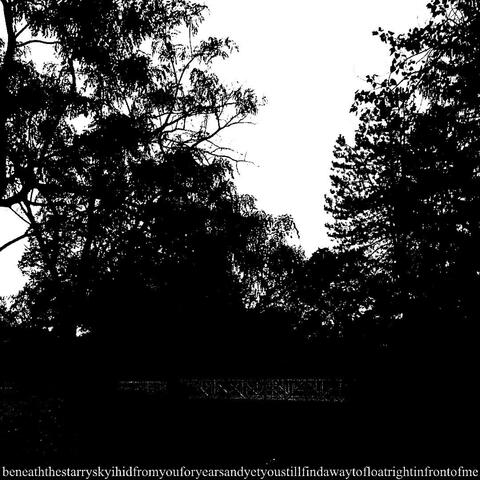 beneaththestarryskyihidfromyouforyearsandyetyoustillfindawaytofloatrightinfrontofme
